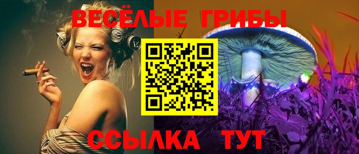 Галлюциногенные грибы MAGIC MUSHROOMS Пенза